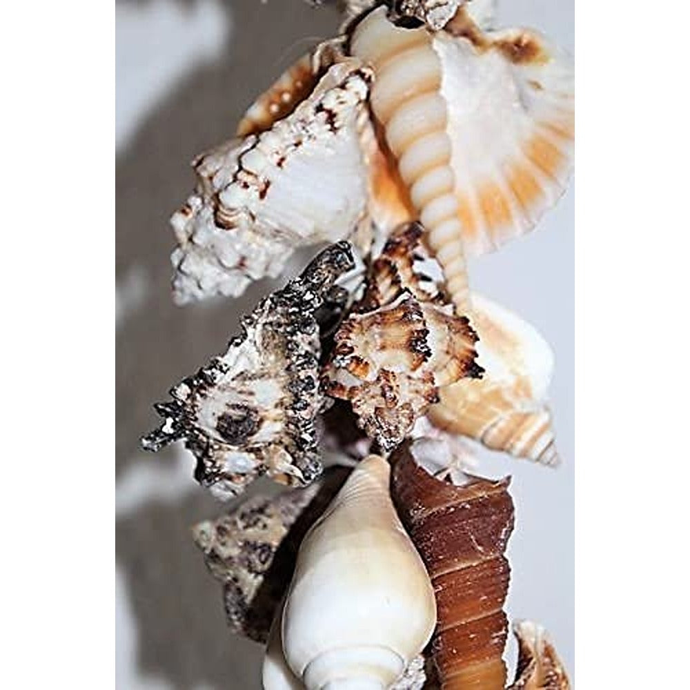 Muschelgirlande 25 cm